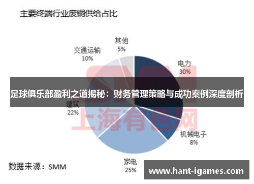足球俱乐部盈利之道揭秘：财务管理策略与成功案例深度剖析
